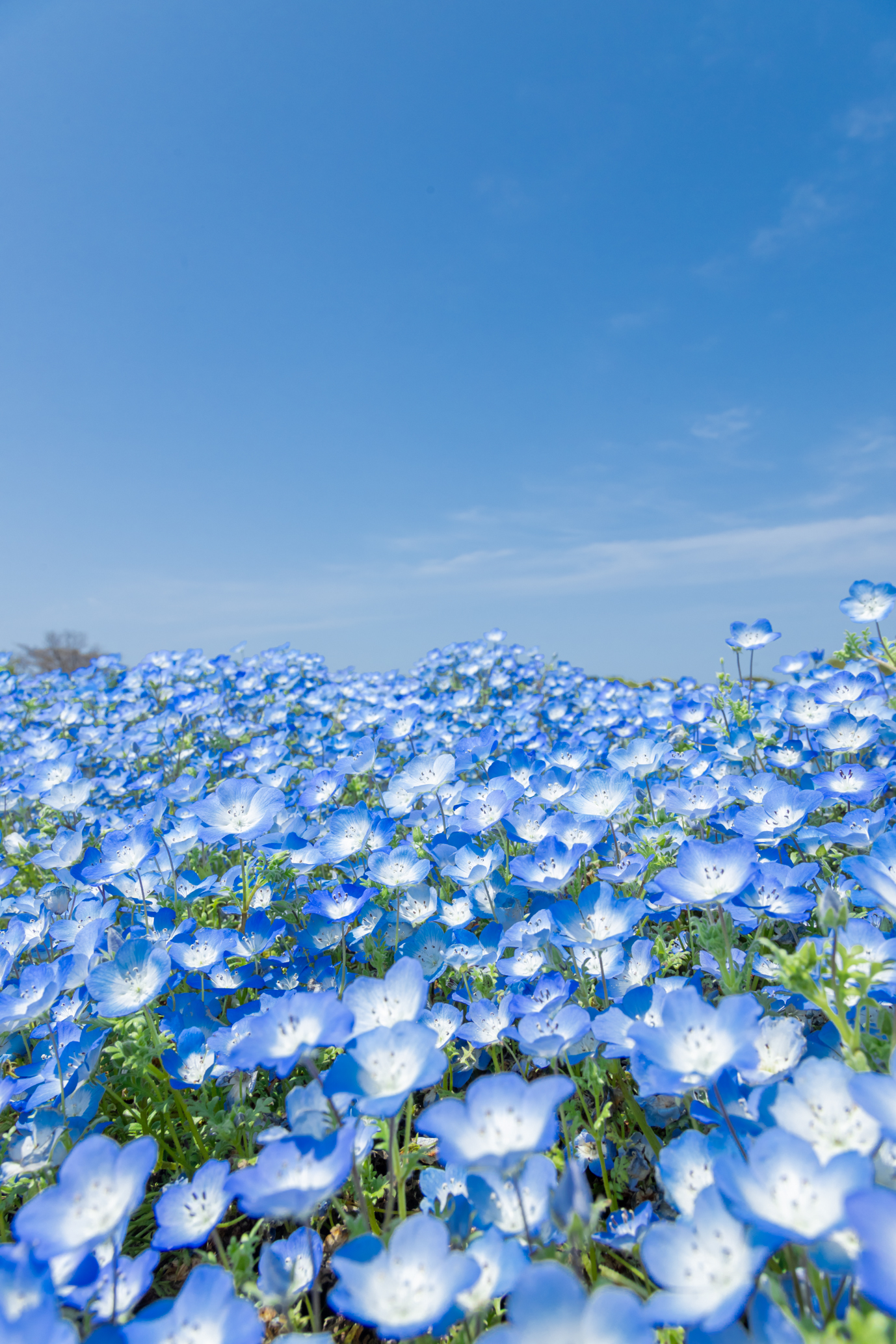 レジャー・おでかけデート